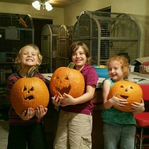 Meet your Posher, Amber